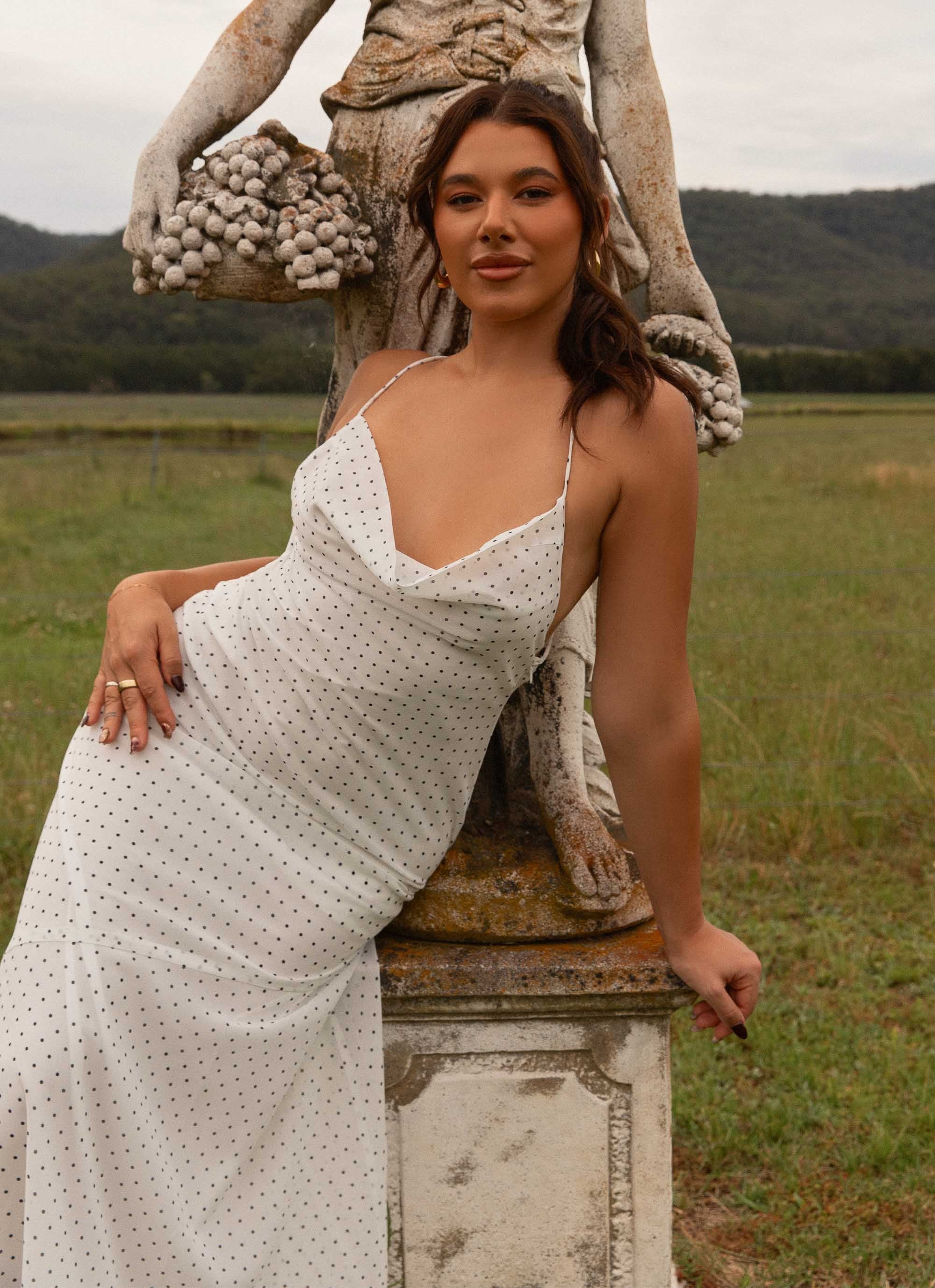 Alianna Cowl Neck Mesh Maxi Dress - White Polka Dot – Peppermayo Canada