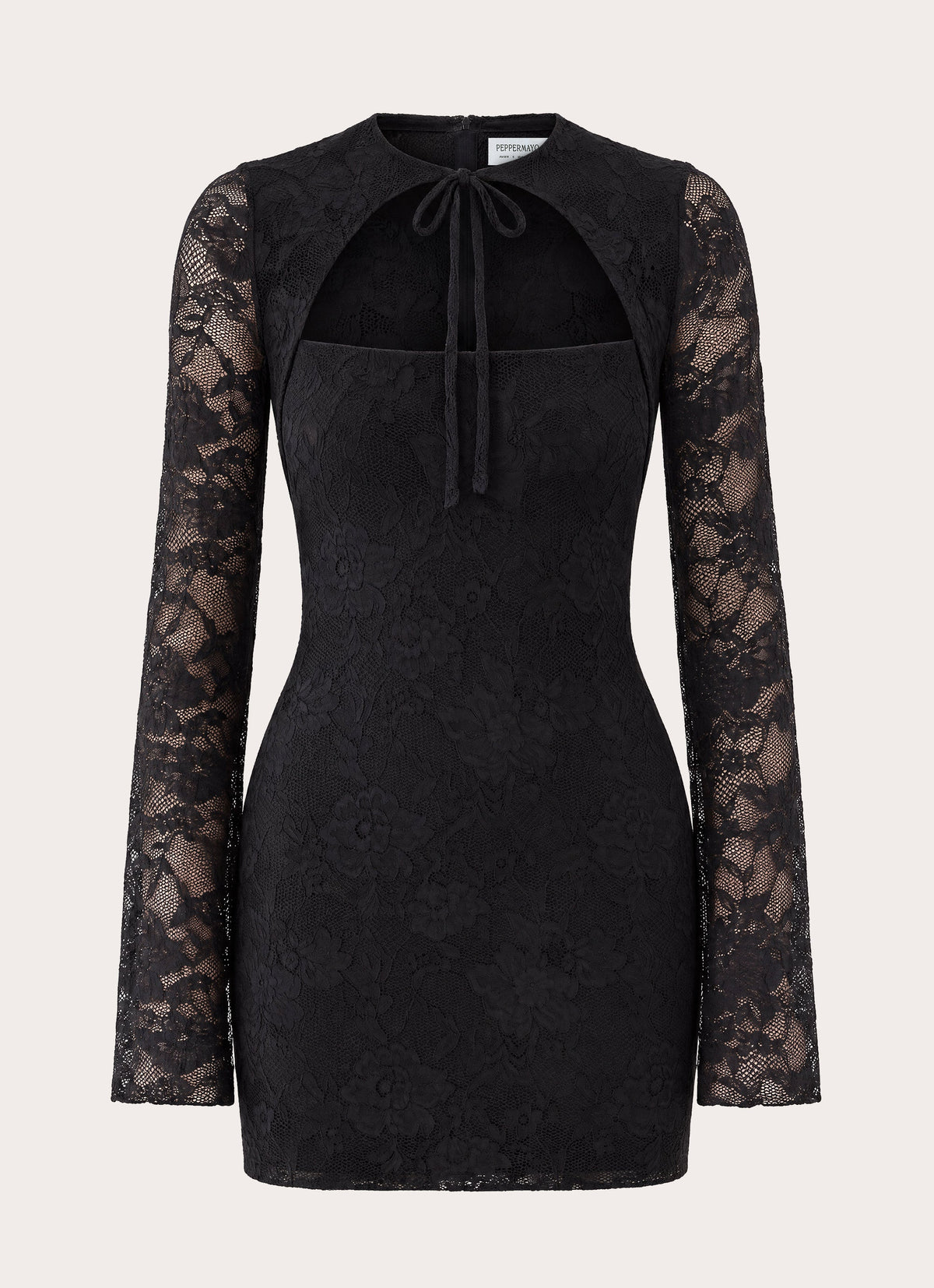 Norelle Lace Mini Dress - Black