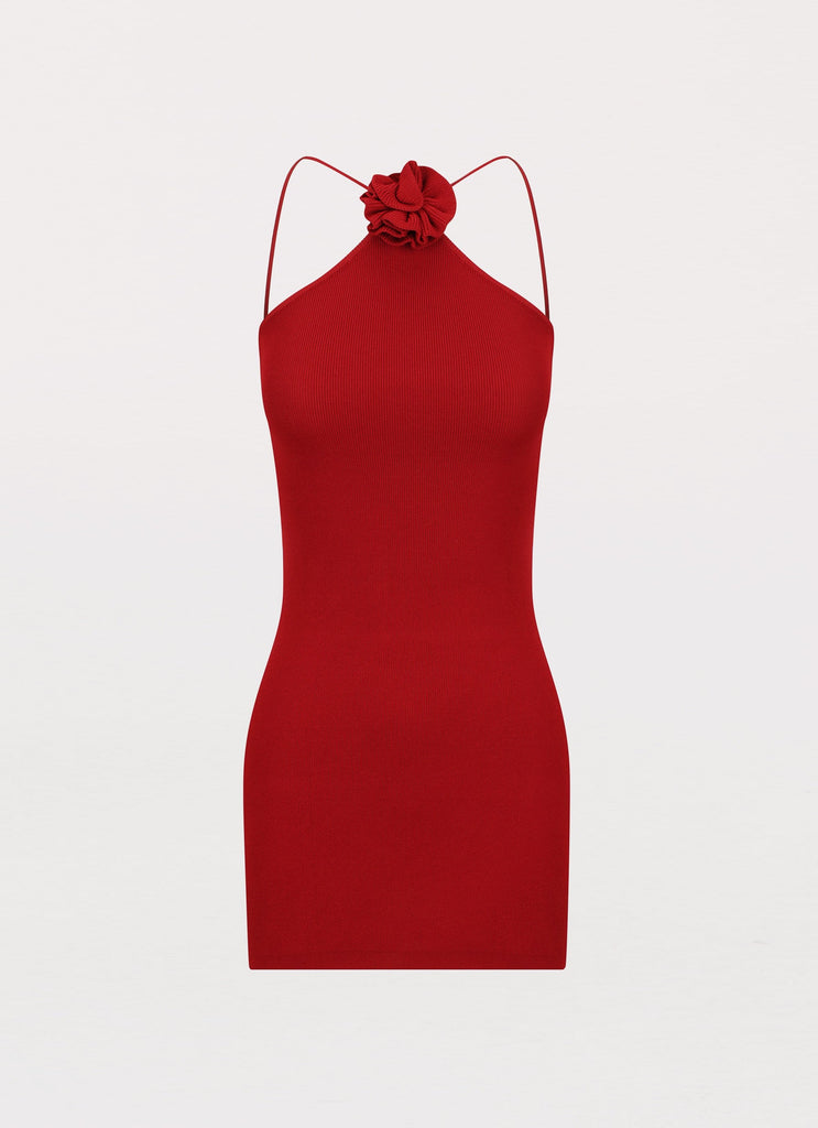 Womens Delphi Rose Knit Mini Dress in the colour Rouge Red in front of a light grey background